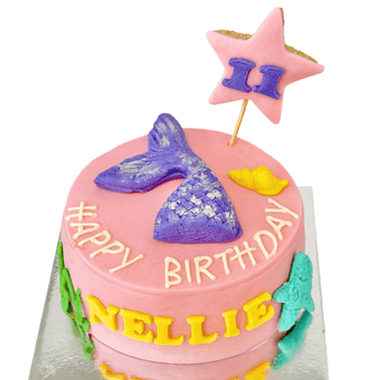 Colorful mermaid merman cake for dogs decorated with a star and happy birthday message.