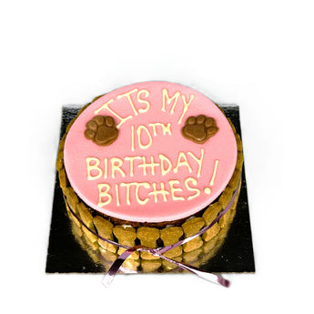 Fun birthday dog cake for your pup's special day, saying 'It's my 10th birthday bitches!'