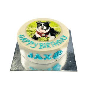 Custom pawtrait dog cake featuring a happy dog with a birthday message for Jax.