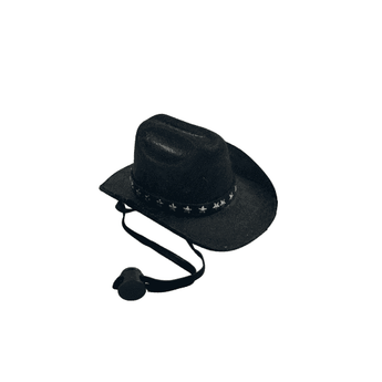 Black Western Dog or Cat Party Hat