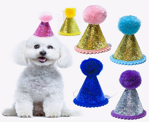 Adorable dog wearing a glitter party hat accessories with colorful pom-poms, perfect for celebrations.